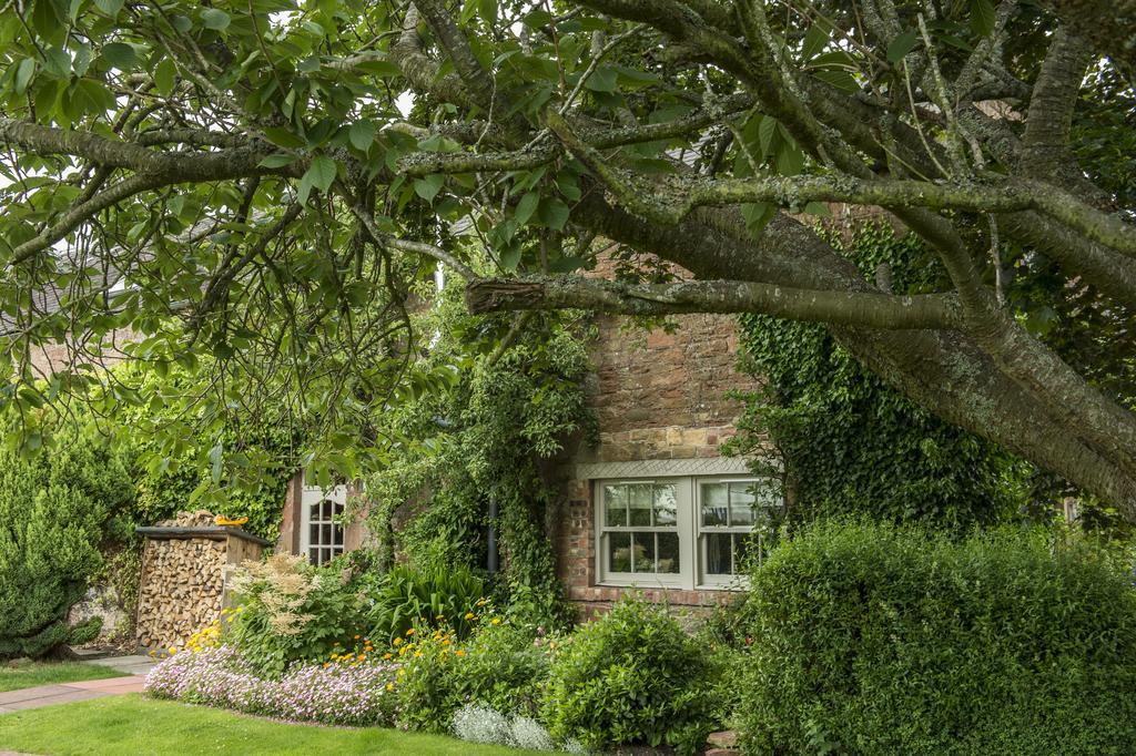 Buccleuch Arms Hotell St Boswells Exteriör bild